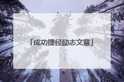 成功捷径励志文章