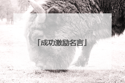 成功激励名言