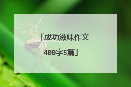 成功滋味作文400字5篇