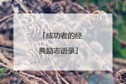 成功者的经典励志语录