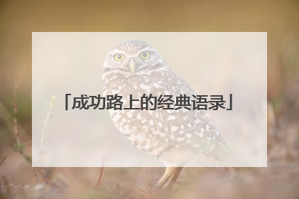 成功路上的经典语录