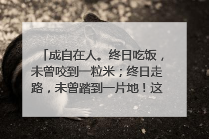 成自在人。终日吃饭，未曾咬到一粒米；终日走路，未曾踏到一片地！这句话是什么意思啊？(来自佛教微博)