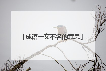 成语一文不名的意思