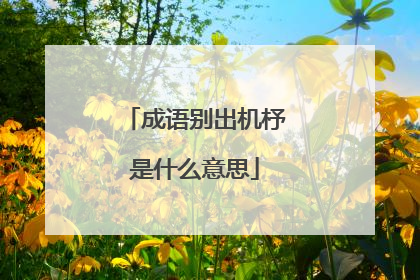 成语别出机杼是什么意思