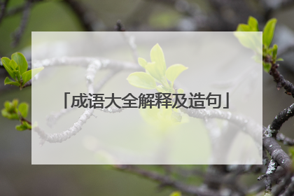 成语大全解释及造句