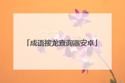 成语接龙查询器安卓