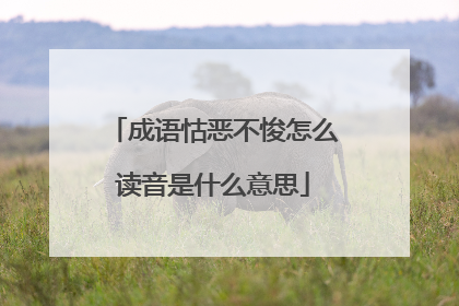成语怙恶不悛怎么读音是什么意思