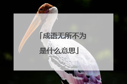 成语无所不为是什么意思
