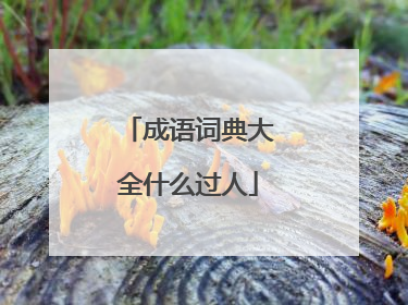 成语词典大全什么过人