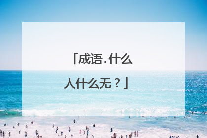 成语.什么人什么无？