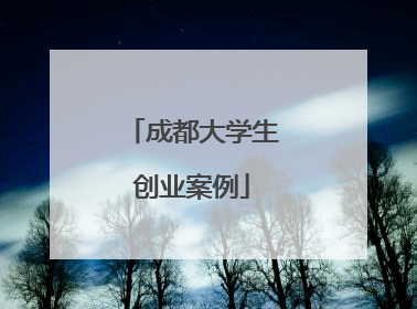 成都大学生创业案例