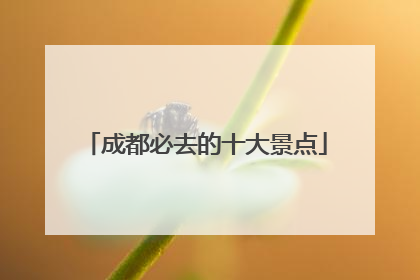 成都必去的十大景点