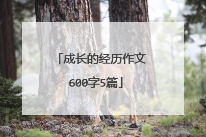 成长的经历作文600字5篇