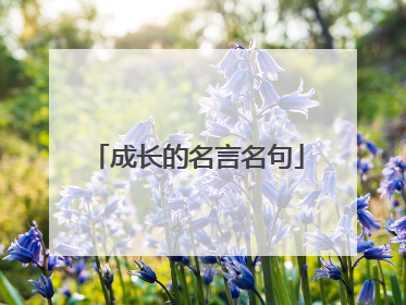 成长的名言名句