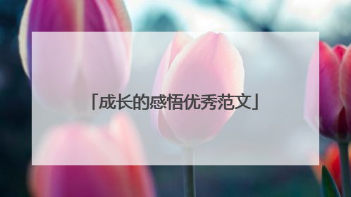 成长的感悟优秀范文