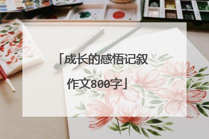成长的感悟记叙作文800字