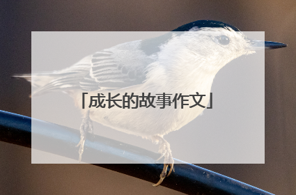 成长的故事作文