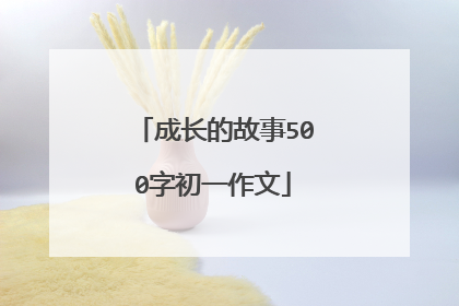 成长的故事500字初一作文