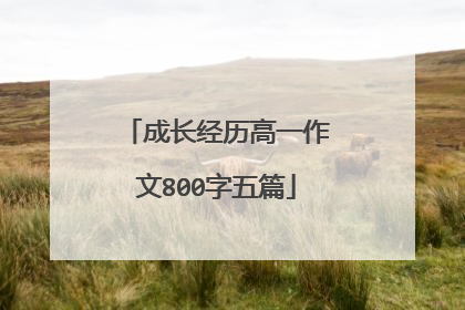 成长经历高一作文800字五篇