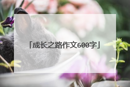 成长之路作文600字
