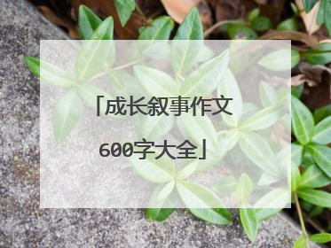 成长叙事作文600字大全