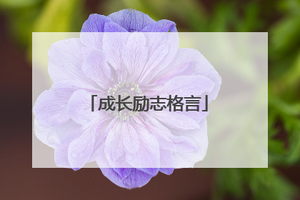 成长励志格言