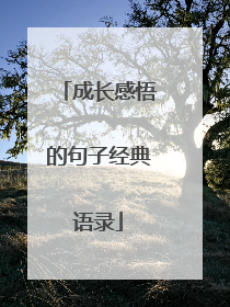 成长感悟的句子经典语录