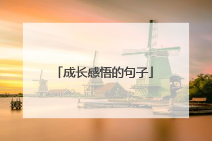 成长感悟的句子