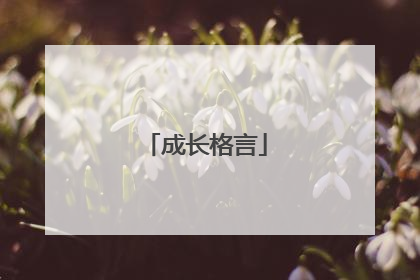 成长格言