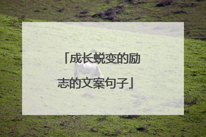 成长蜕变的励志的文案句子