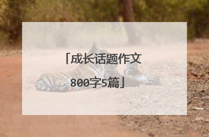 成长话题作文800字5篇