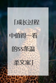 成长过程中值得一看的55条温柔文案