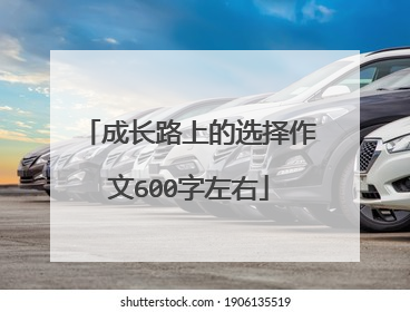 成长路上的选择作文600字左右