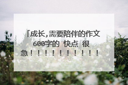 成长,需要陪伴的作文 600字的 快点 很急!!!!!!!!!!!!!!!!!!