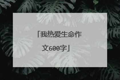 我热爱生命作文600字