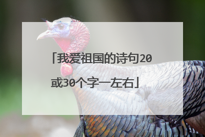 我爱祖国的诗句20或30个字一左右