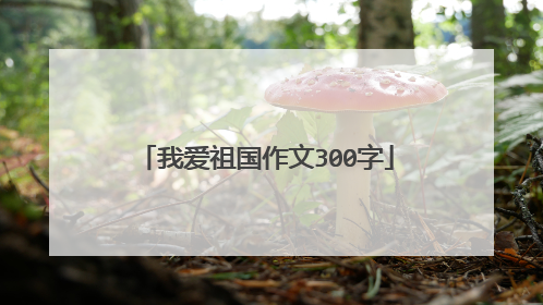 我爱祖国作文300字