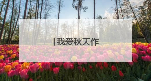 我爱秋天作文300字