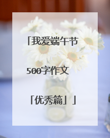 我爱端午节500字作文「优秀篇」