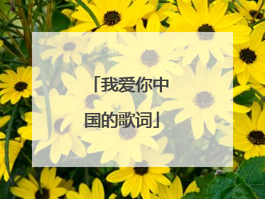 我爱你中国的歌词