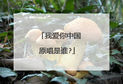 我爱你中国原唱是谁?
