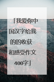 我爱你中国汉字给我的的收获 和感受作文400字