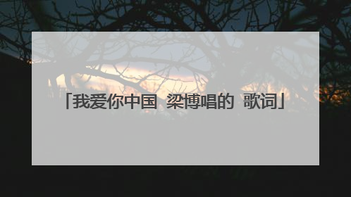 我爱你中国 梁博唱的 歌词