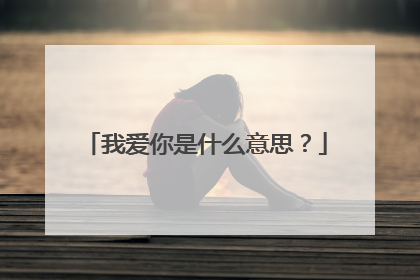 我爱你是什么意思?