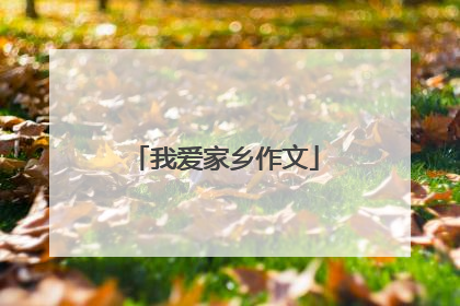 我爱家乡作文