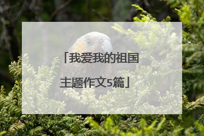 我爱我的祖国主题作文5篇
