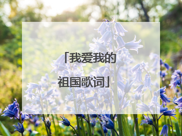 我爱我的祖国歌词