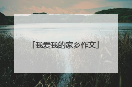 我爱我的家乡作文