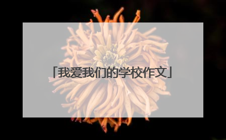 我爱我们的学校作文