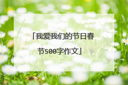 我爱我们的节日春节500字作文